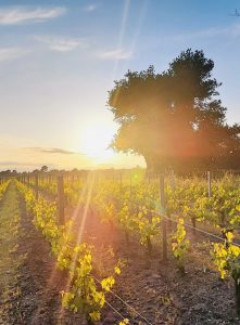 Leognan